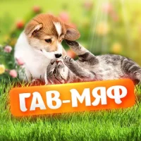 ГАВ - МЯФ в MAX