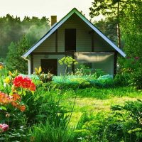 Моя дача в MAX