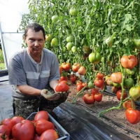 Огород - сад Медведевых в MAX