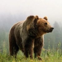 Красивая Россия в MAX