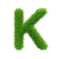 Копирайтер, редактор — вакансии, удаленная работа в MAX