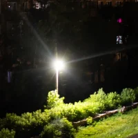 Татарск - Online в MAX