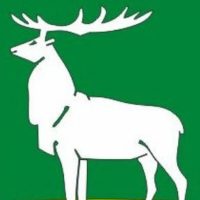 Администрация города Бузулука в MAX