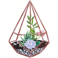 Антон - цветочник в MAX