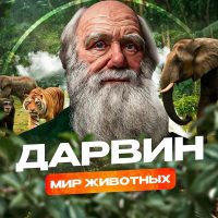 Дарвин|Мир животных в MAX