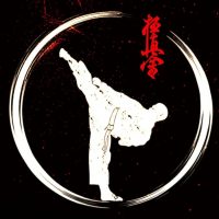 Экипировка для киокушинкай каратэ. KyokushinShop в MAX