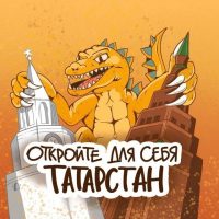 Еду в Татарстан в MAX