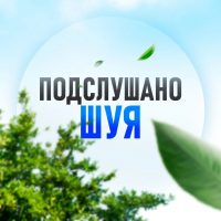 Подслушано Шуя в MAX