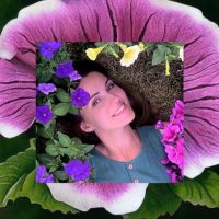 Цветочная веранда ПЕТУНИИ и другие цветы в MAX