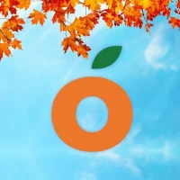 Манго | оптово-розничный центр | ЛНР в MAX