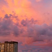 Подслушано на Лесобазе в MAX