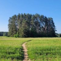 Ильинское. Новости в MAX