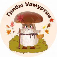 Грибы Удмуртии в MAX