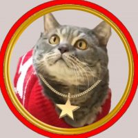 Кот в валенках Марсель в MAX