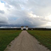 Русборг в MAX