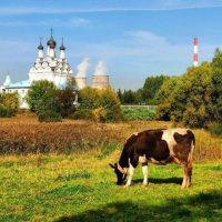 Замкадье | Подмосковье | Мытищи в MAX