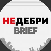 Недебри.Brief в MAX