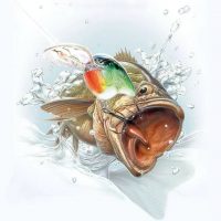 Рыбалка в Иваново в MAX