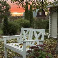 Маришкина дача в MAX