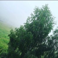 Анастасия Чиканова в MAX