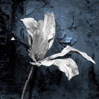 Воронежский Академический Театр Драмы в MAX