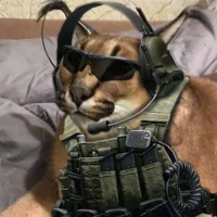 Пабг | PUBG Мемы в MAX