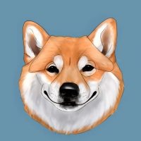 Кошки и Собаки в MAX