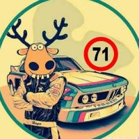 Тула за рулём в MAX