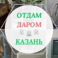 Отдам даром КАЗАНЬ в MAX