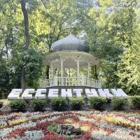 Ессентуки в MAX