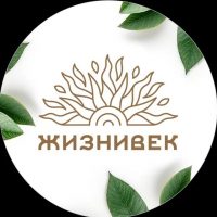 Жизнивек в MAX