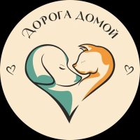 Дорога Домой (г. Муром) в MAX