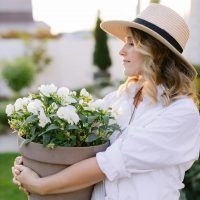 PEARLBLUM / ДЕКОР / ЗАГОРОДНАЯ ЖИЗНЬ в MAX