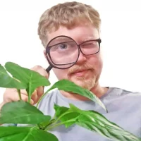 Логово ботаника в MAX