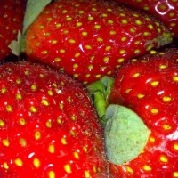 Кухня изнутри в MAX