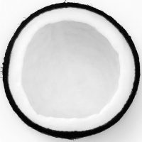 Твое Вдохновение в MAX