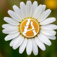 Костя Кулясов | АнимациЯ в MAX