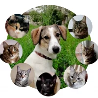 Кошкин дом Гелены в MAX