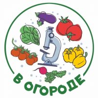 В Огороде в MAX