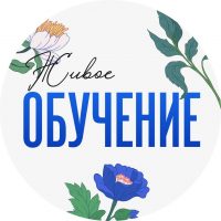 Живое обучение в MAX