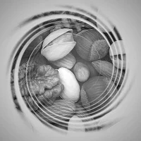 Мозговые орехи в MAX