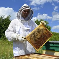 Пасека Петровых в MAX