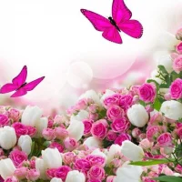 Открытки С Добрым утром Спокойной ночи С днем рождения Поздравления Православные Доброе утро Пожелание Красивые Картинки в MAX