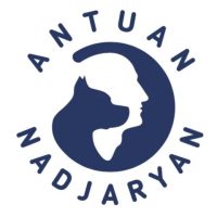 Антуан Наджарян - Официальный канал в MAX