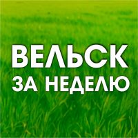 Вельск за неделю в MAX