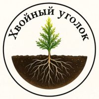 Хвойный уголок - питомник на Волге в MAX