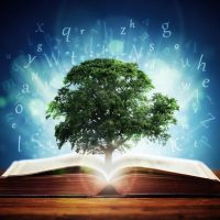 Мудрые строки | Литература в MAX