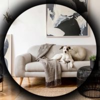 МОЙ ДИЗАЙН | Интерьер | Уют в доме в MAX