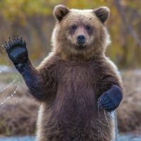 КРАСИВЫЕ КАДРЫ в MAX