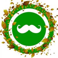 Типичное Белоусово в MAX